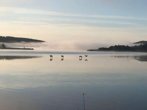 Foto - Schweden Haus am See mit Boot - 100,00 EUR Kaltmiete,