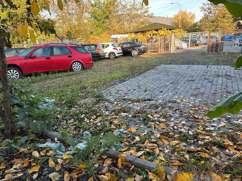 Foto - andere in Neustadt an der Weinstraße