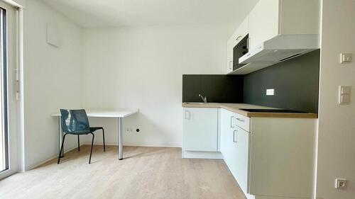 Foto - 1 Zimmer Etagenwohnung zur Miete in Nürnberg