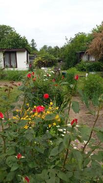 Foto - Grundstück zur Miete in Magdeburg