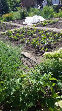 Foto - Grundstück in Magdeburg