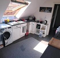 3- Zimmerwohnung ab sofort zu vermieten - Schneverdingen