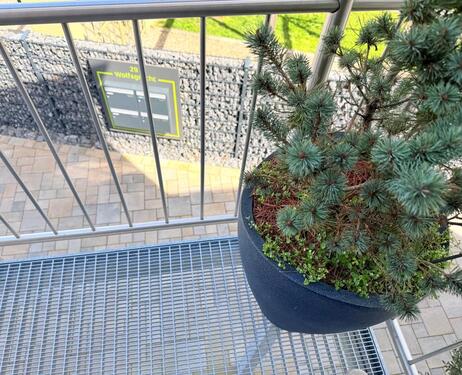 Foto - 4 Zimmer Dachgeschoßwohnung in Jülich