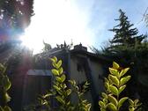 Foto - 4 Zimmer Einfamilienhaus in Jacobsdorf