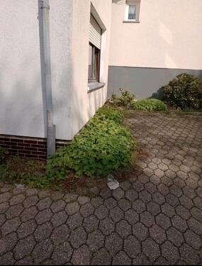 Foto - Einfamilienhaus in Beltheim zum Kaufen