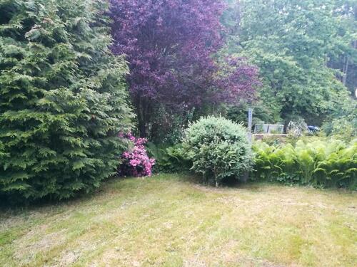 Foto - andere in Teisnach