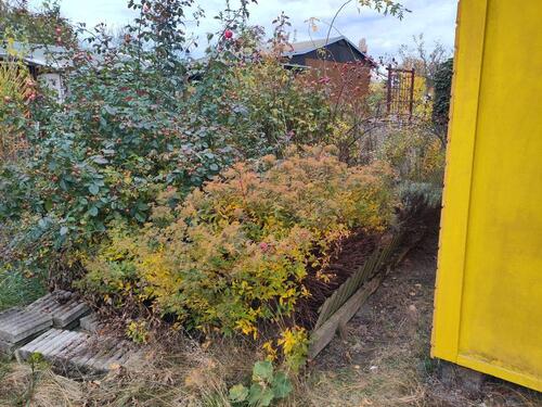 Foto - Grundstück in Chemnitz