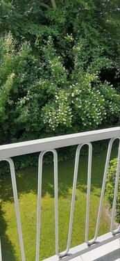 Foto - 2 Zimmer ETW in sehr guter Lage (Eigenland)