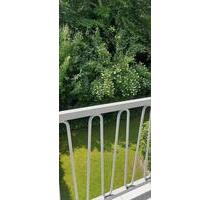 2 Zimmer ETW in sehr guter Lage (Eigenland) - Büsum