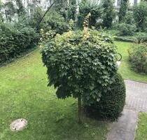 Möbliertes 1-Zimmer Apartment in zentraler Lage-sofort bezugsfrei - Berlin Charlottenburg-Wilmersdorf
