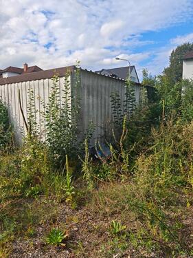 Foto - andere in Rodgau