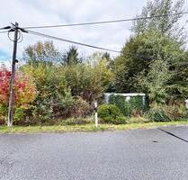 AUKTION: Baugrundstück mit Garage - Waldenburg