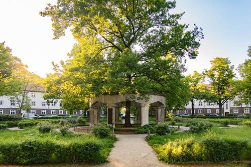 Foto - 2 Zimmer Etagenwohnung in Dresden