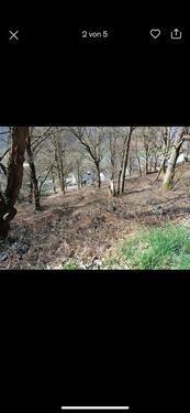 Foto - Grundst&uuml;ck zur Miete in Bad Karlshafen