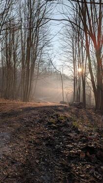 Foto - 7 Zimmer Einfamilienhaus zum Kaufen in Morsbach