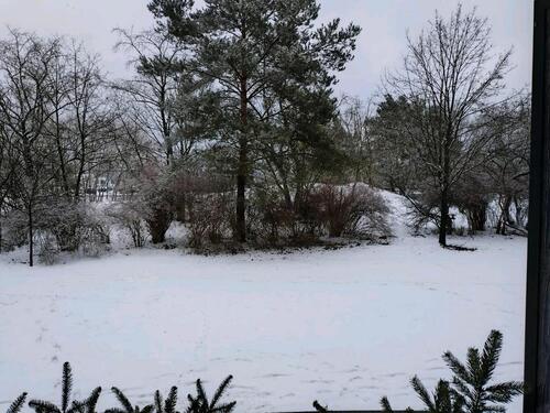 Foto - Erdgeschoßwohnung in Hoyerswerda zur Miete