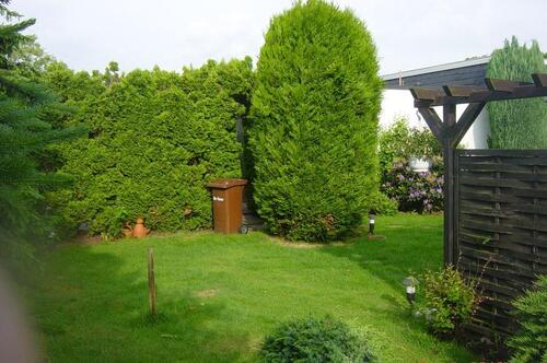 Foto - Bungalow in Sankt Augustin zum Kaufen