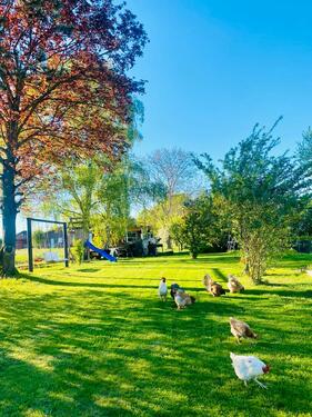 Foto - TOP ANGEBOT – Haus mit Einliegerwohnung 2300 Grundstück