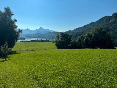 Foto - Ferienwohnung Allgäu Füssen Oktober November Pfingsten Juni Mai