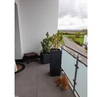 Schöne großzügige 4- Zimmer-Wohnung mit sanierten Bädern - Wachtberg