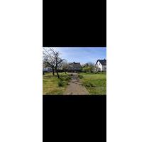 Charmantes Haus mit großem Grundstück und Nebengebäude - Dessau-Roßlau