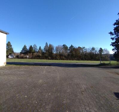 Foto - andere in Ulmen