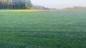 Foto - Ackerland und Wald - 18,00 EUR Kaltmiete, ca.  0,00 m²