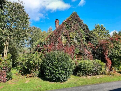 Foto - Wohnhaus im Grünen mit Blick zum Wiehengebirge