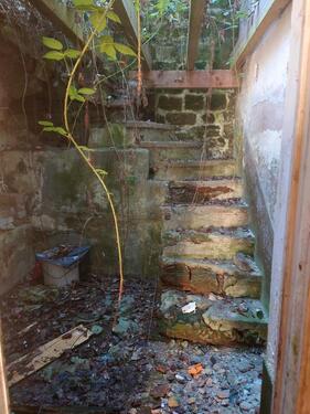 Foto - 5 Zimmer Einfamilienhaus zum Kaufen in Niederkirchen