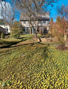 Foto - 4 Zimmer Einfamilienhaus zum Kaufen in Fraureuth