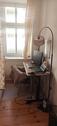 Foto - 1 Zimmer Erdgeschoßwohnung zur Miete in Berlin