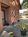 Foto - Haus zur Miete in Bockenem - 1.400,00 EUR Kaltmiete,