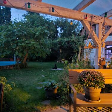Foto - Einfamilienhaus zum Kaufen in Königslutter am Elm