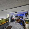 Foto - Einfamilienhaus in Königslutter am Elm zum Kaufen