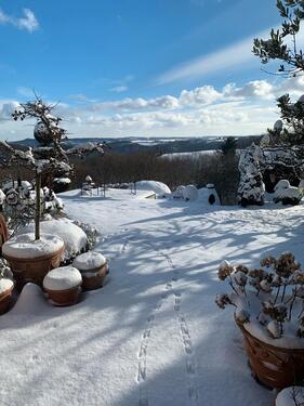 Foto - andere in Windhagen zur Miete
