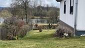 Foto - Einfamilienhaus in Münchberg zur Miete