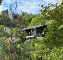 Holzbungalow in Waldrandlage - 149.000,00&nbsp;EUR Kaufpreis, ca.&nbsp; 55,00&nbsp;m&sup2; in Reinhardshagen (PLZ: 34359)