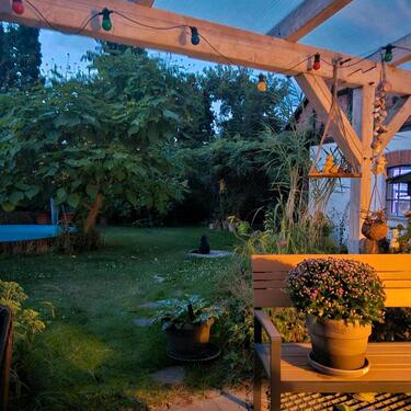 Foto - Einfamilienhaus zum Kaufen in Königslutter am Elm
