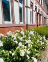Foto - andere in Hamburg zur Miete