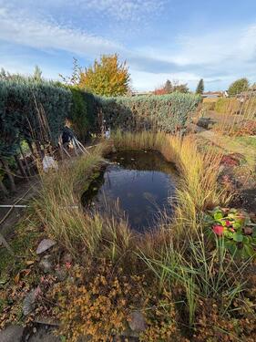 Foto - Gepflegter Schrebergarten abzugegen