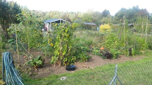 Foto - Grundstück in Ratzeburg