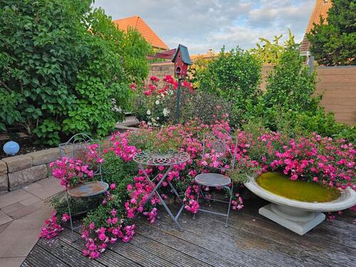 Foto - Einfamilienhaus in Gägelow