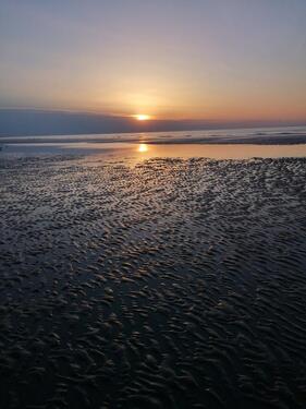 Foto - Beerfelden - Wohnung zu vermieten