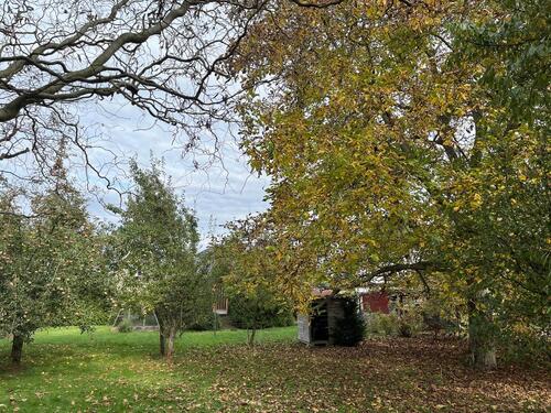 Foto - Einfamilienhaus in Taucha