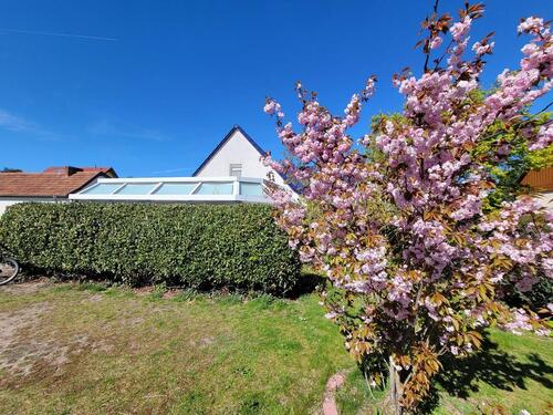 Foto - 10 Zimmer Mehrfamilienhaus, Wohnhaus zum Kaufen in Berlin