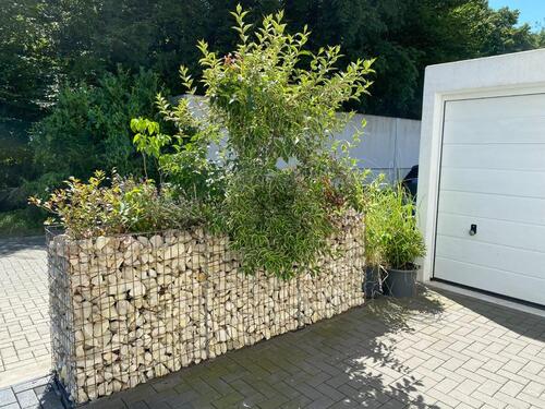 Foto - Einfamilienhaus in Krefeld