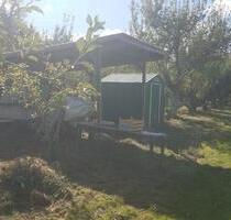 OBSTBAUMWIESE 2900m² mit 80 Bäumen, Carport und Schuppen - Horb am Neckar