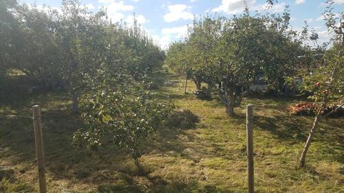 Foto - Grundstück in Horb am Neckar