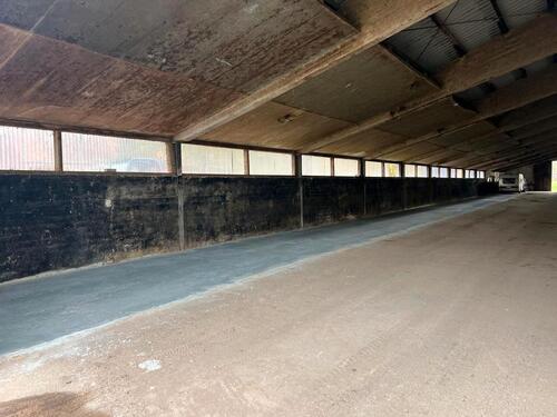 Foto - andere in Visselhövede