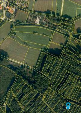 Foto - Waldstück mit 820m² in der Nähe vom Drosendorf